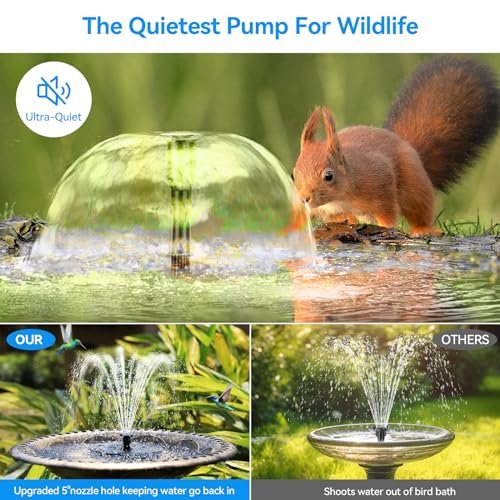 Best Solar Water Pump