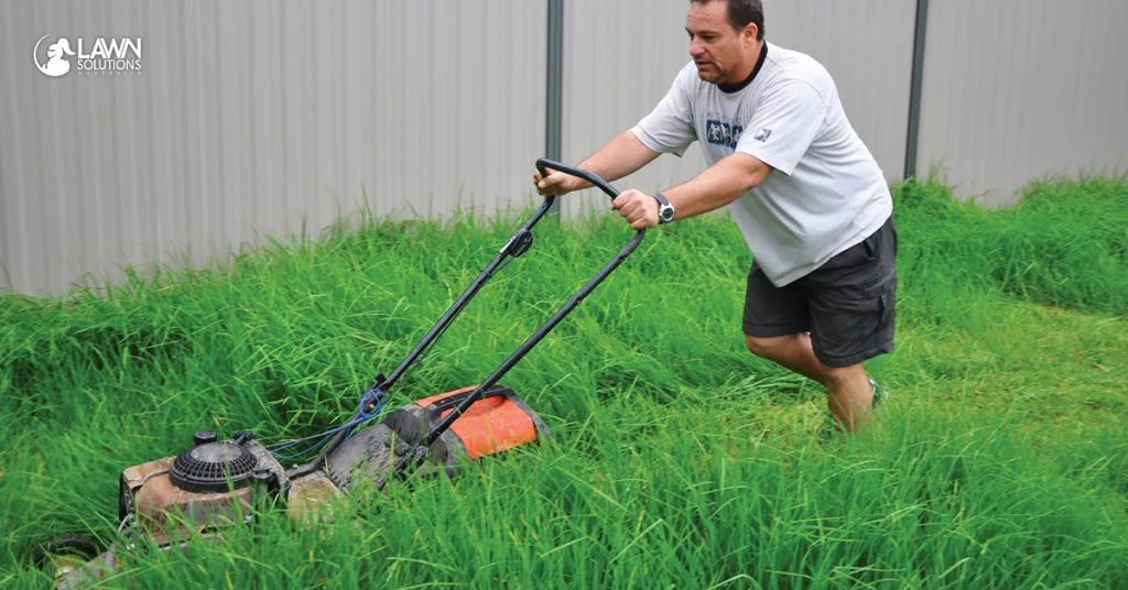Can a lawn mower cut tall grass?