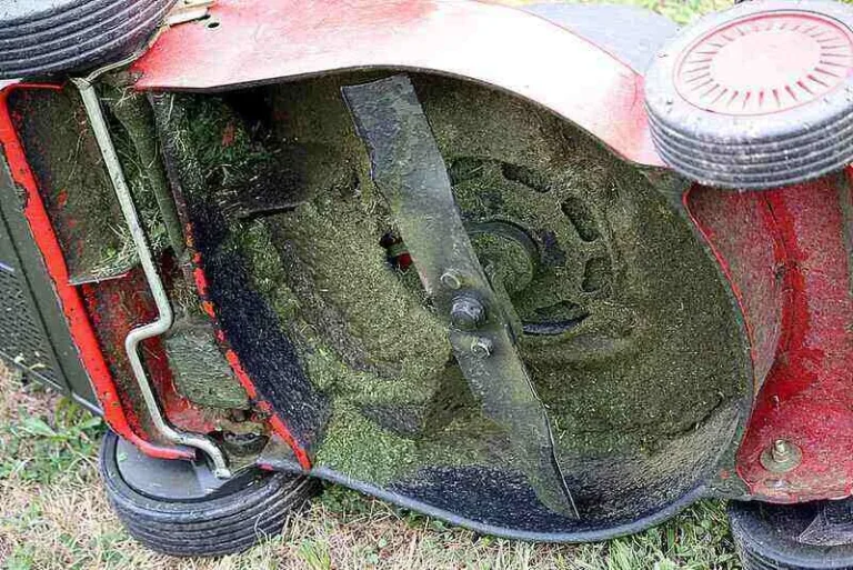 How do you clean a lawn mower?