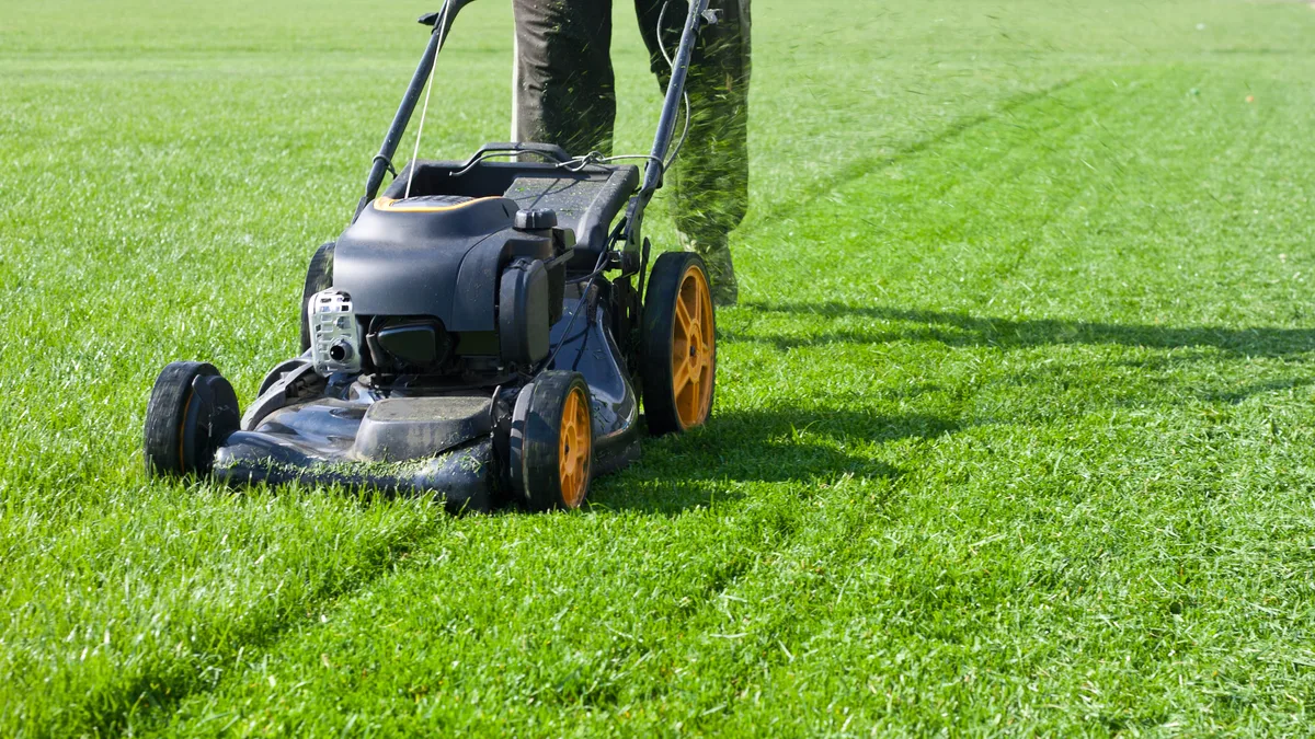 How often should you mow your lawn?