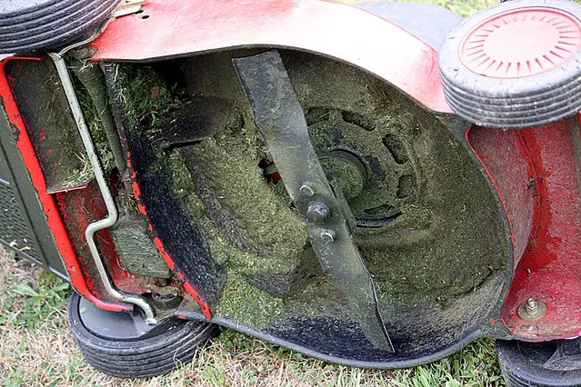 mower blade underside deck inspection