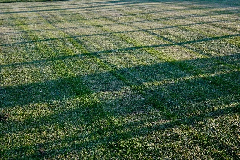 mower cut pattern